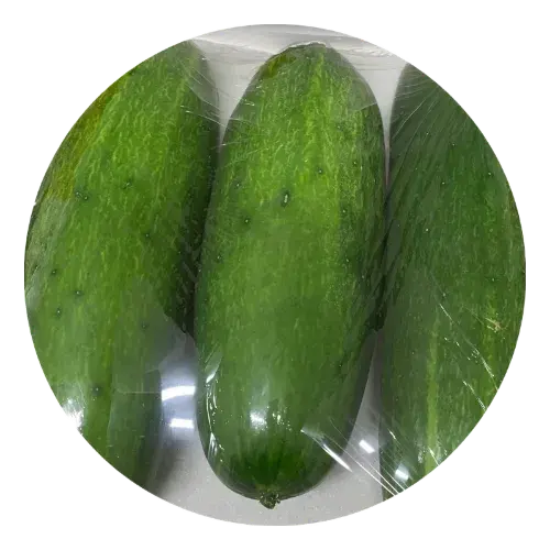 pepino